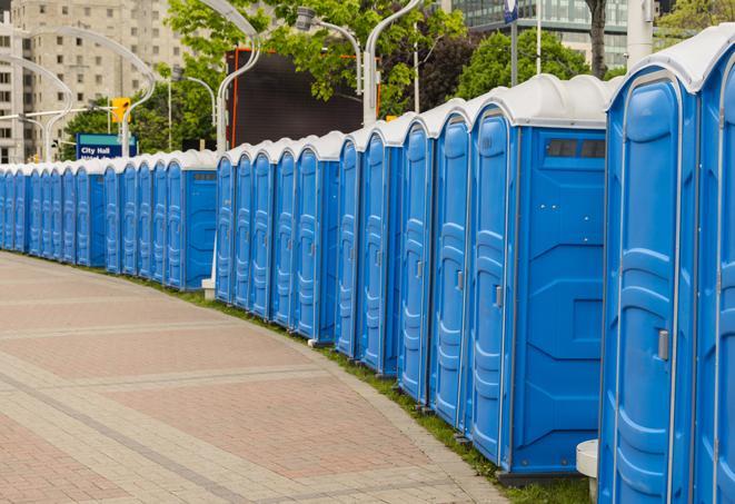 a fleet of portable restrooms ready for use at a large outdoor wedding or celebration in Cascade